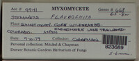 Image Associated With the Occurence